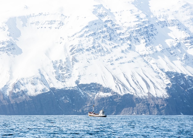 Free Photo a boat in the sea with amazing rocky snowy mountains