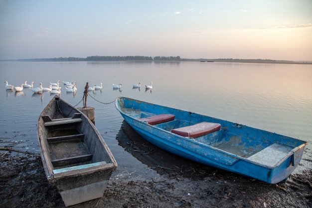 Free photo boats on the shore of the lake.