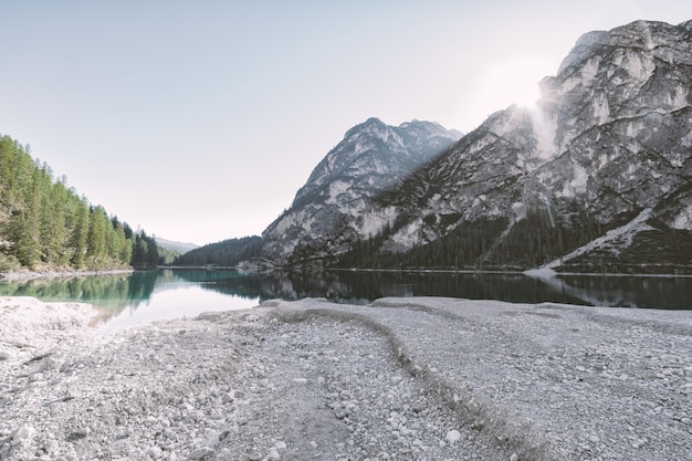 Free Photo body of water between trees and mountain