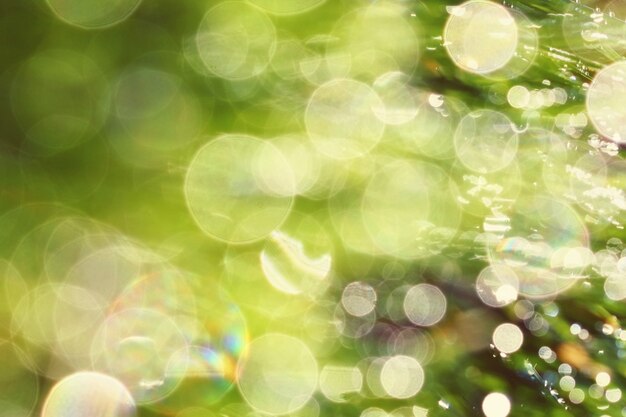 "Bokeh background with sunlight "