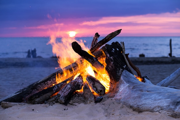 Free Photo bonfire on the beach