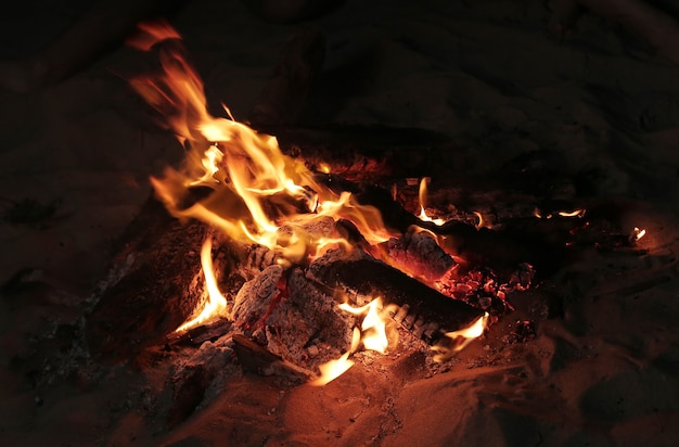 Free photo bonfire at the beach