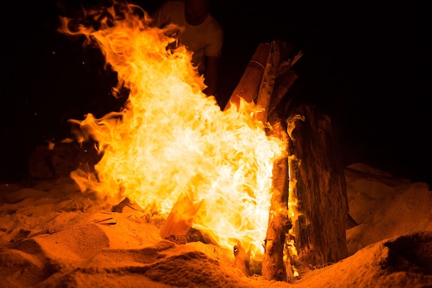 Free Photo bonfire on the beach