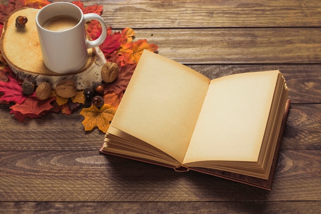 Book and coffee near nuts and leaves