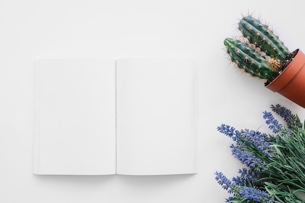 Free photo book cover mockup with cactus and flowers