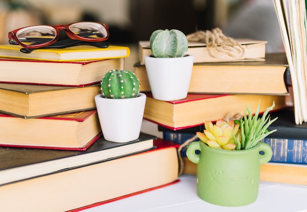 Free photo book pile with cactus