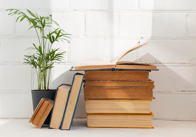 Free Photo books arrangement with plant