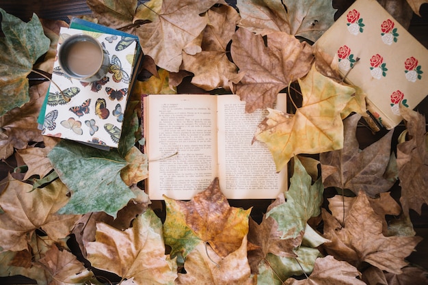 Books and beverage on leaves