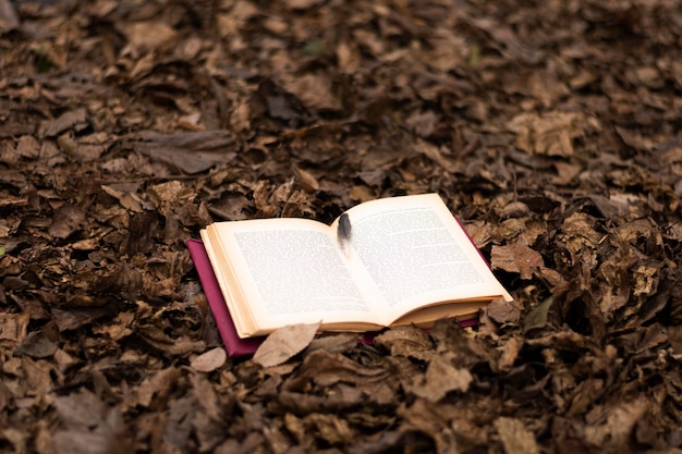 Books and imagination still life