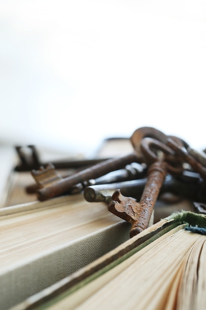 Free photo books in the library