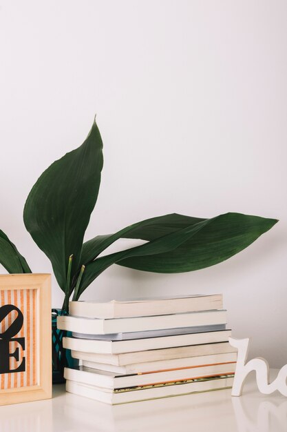 Books near green plant