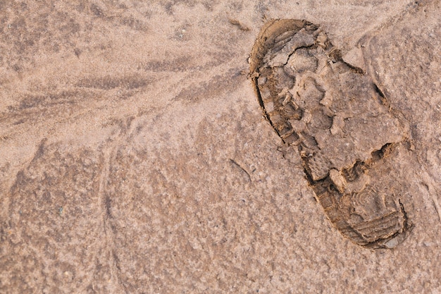 Free Photo boot track in mud