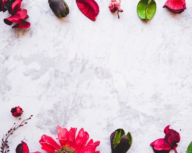 Border dried flower and petals on white granite background with copy space for text