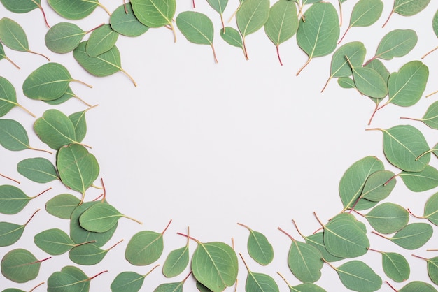 Free Photo border from green leaves