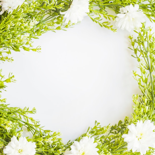 Free Photo border from white flowers