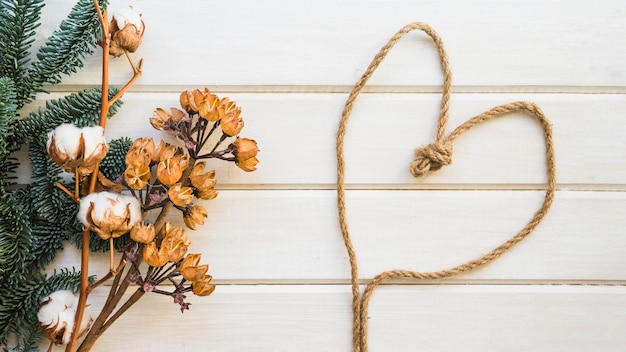 Botanical background with rope