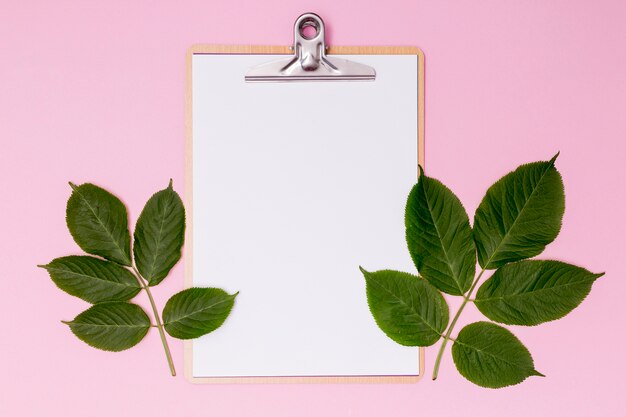 Botanical decor with empty clipboard