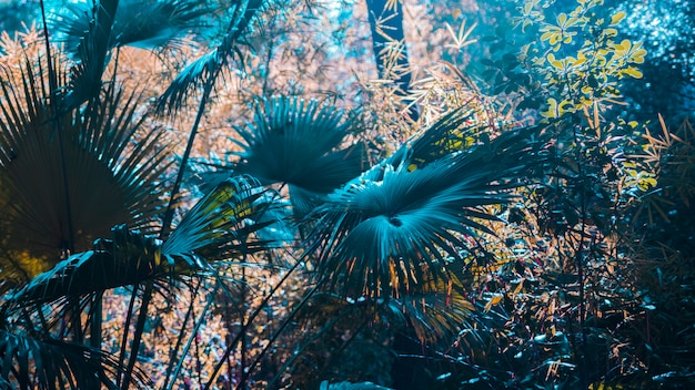 Botanical leaves