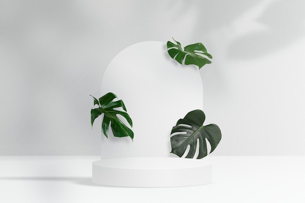 Free Photo botanical product backdrop, monstera leaves