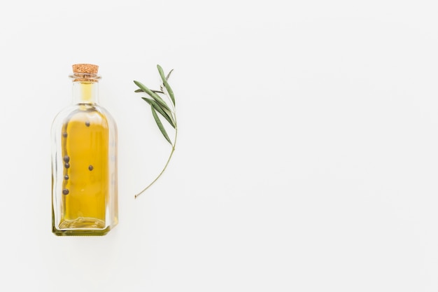 Free photo bottle of oil with green branch