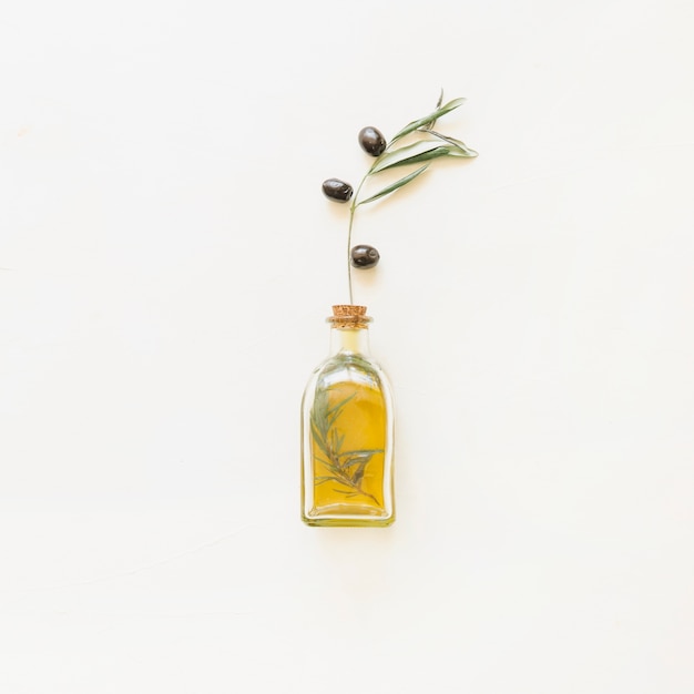 Free photo bottle of oil with olive branch