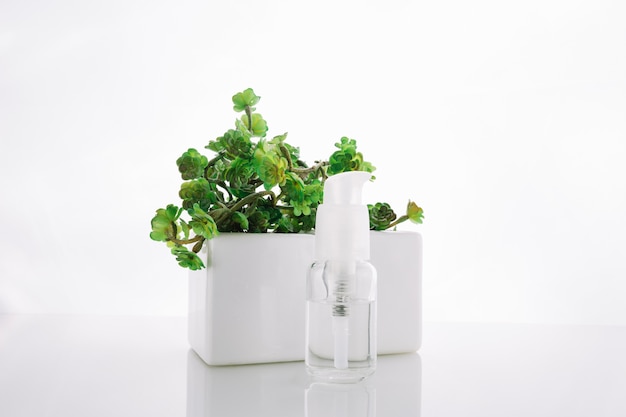 Free photo bottle with lotion near potted plant