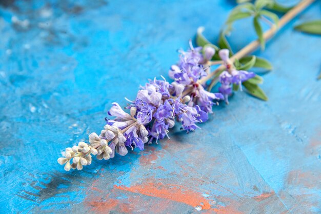 Bottom close view purple flower branch on blue table free space