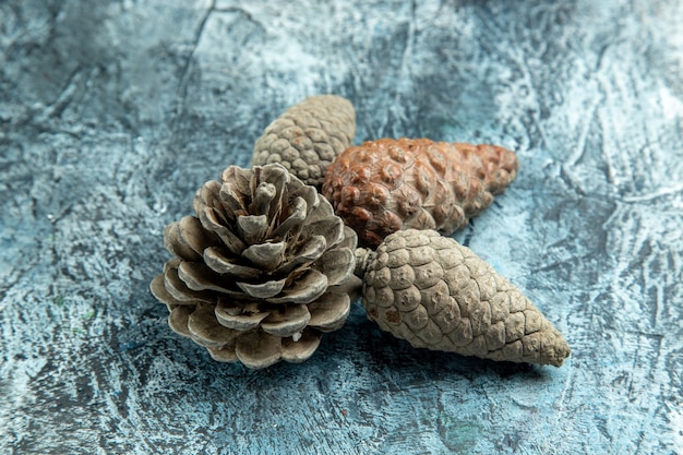 Free Photo bottom view closed and open pinecones on grey surface