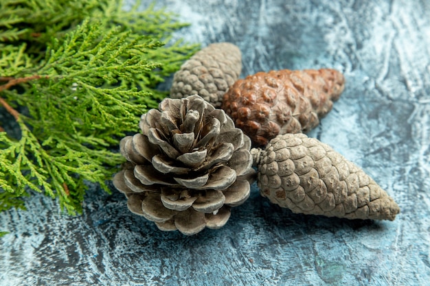 Free photo bottom view closed and open pinecones pine branch on grey surface