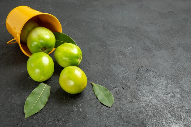 Free photo bottom view green tomatoes bay leaves and overturned yellow bucket on dark background