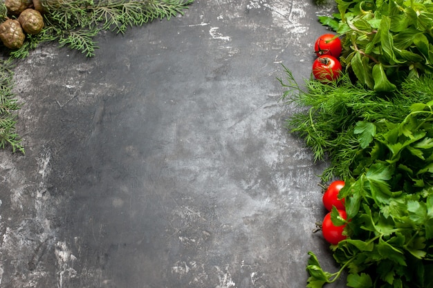 Bottom view greens and tomatoes on dark background copy space