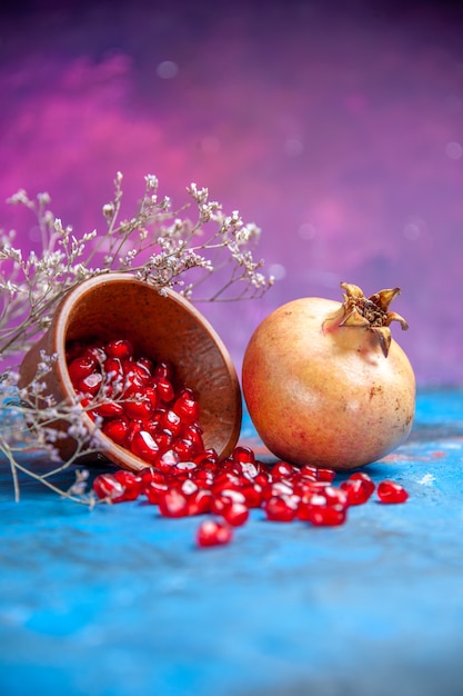 Free Photo bottom view pomegranate seeds in a bowl a pomegranate on purple free place