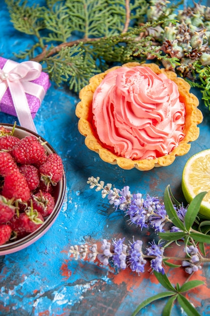 Free photo bottom view small tart with pink pastry cream lemon slice bowl with raspberries tree branches on blue table