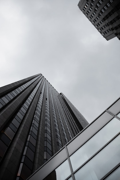 Bottom view urban space with skyscrapers