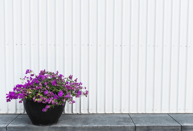 Free Photo bougainvillea pot on a side walk