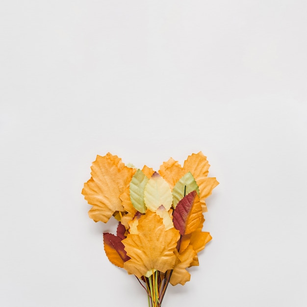 Free photo bouquet of autumn leaves on white background