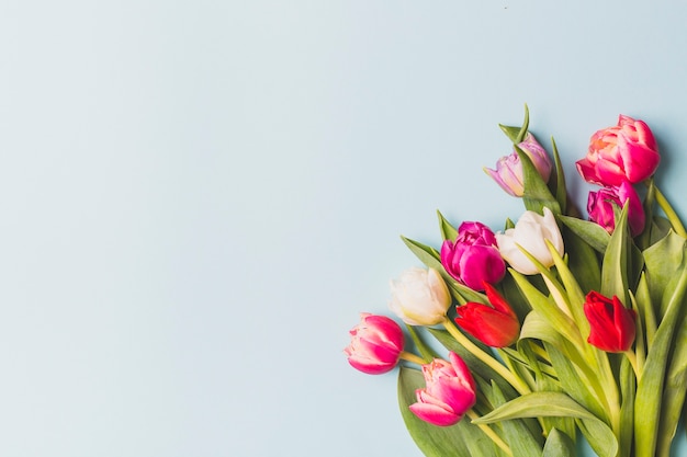 Free photo bouquet of bright tulips