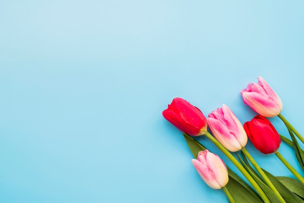 Bouquet of colorful fresh flowers on stems