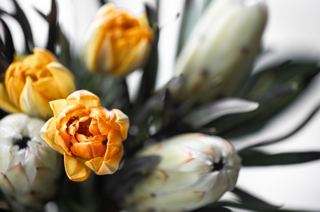 A bouquet of exotic flowers of royal protea and bright tulips. Tropical plants in floristic composition.