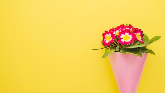 Bouquet of flowers in cone