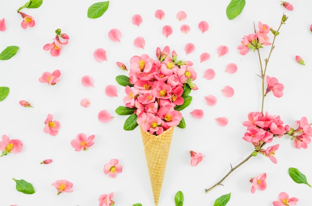 Bouquet of flowers with cornet