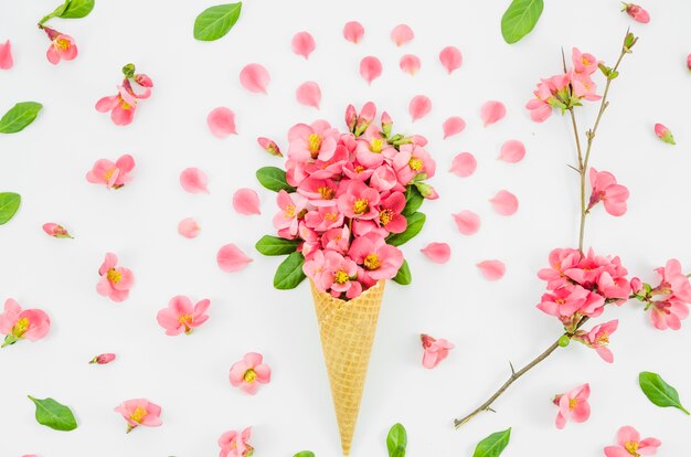 Bouquet of flowers with cornet