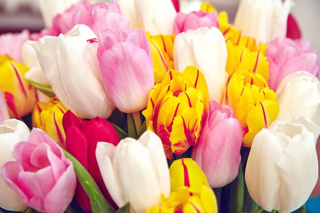 Bouquet of fresh multicolor tulip flowers on old blue wooden table