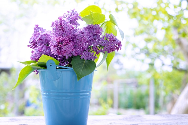 Bouquet of lilac branches in blue bucket.