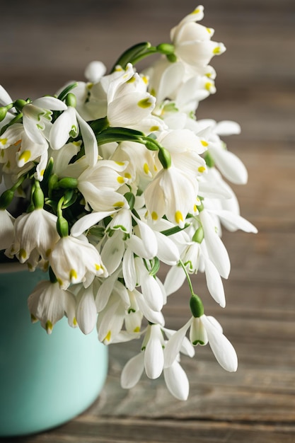 Free photo bouquet of snowdrops on a blurred background