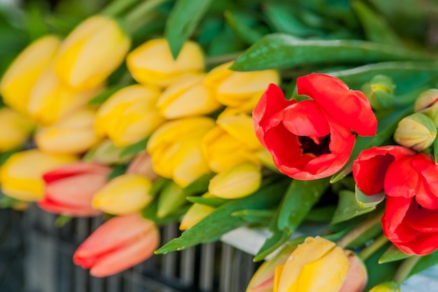 Free photo bouquet of tulips in front of spring scene. bouquets of tulips for sale