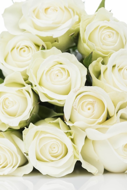 Bouquet of white roses