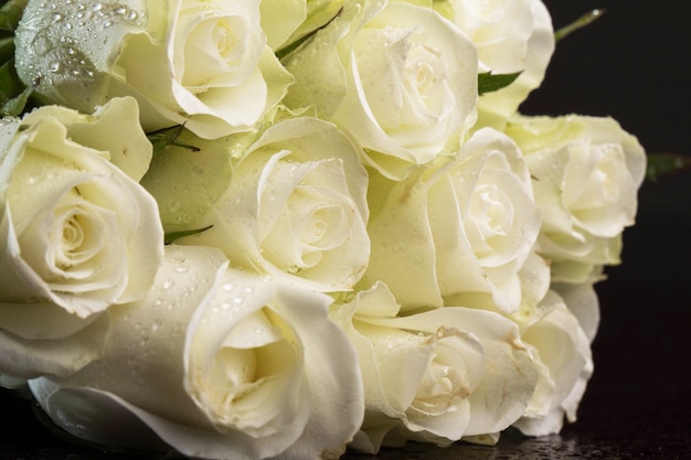 Bouquet of white roses