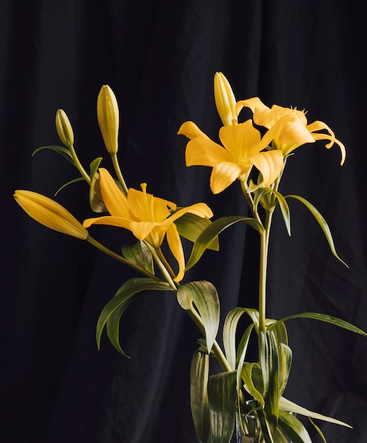 Free Photo bouquet of yellow flowers in darkness