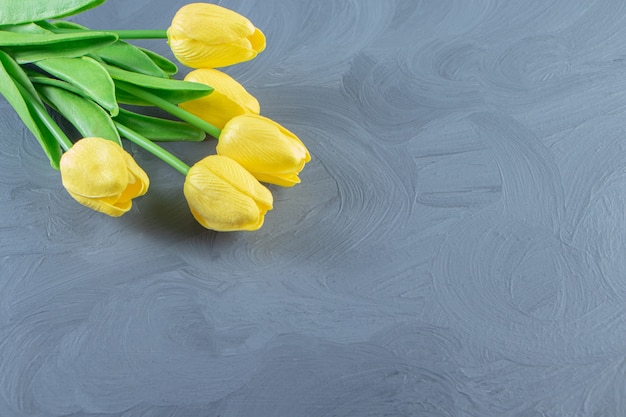 Free Photo bouquet of yellow tulips , on the white background.